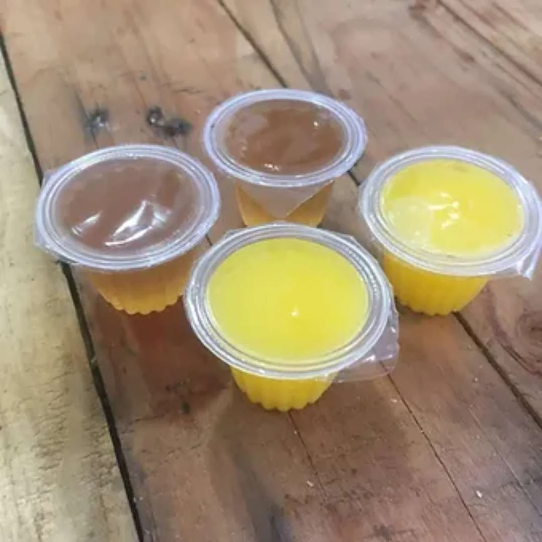 Beetle Jelly - Gelée protéinée pour fourmis