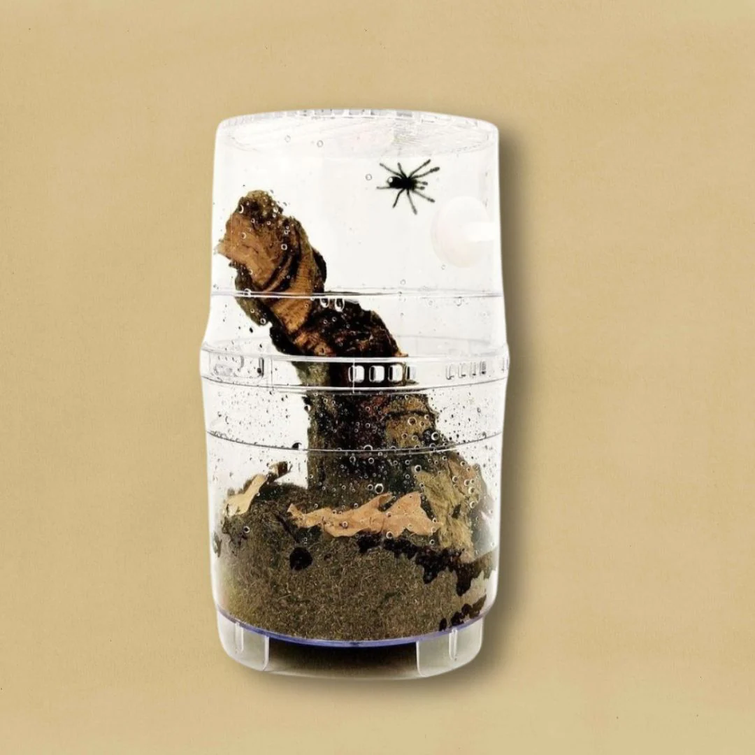Critter Box - Image 2