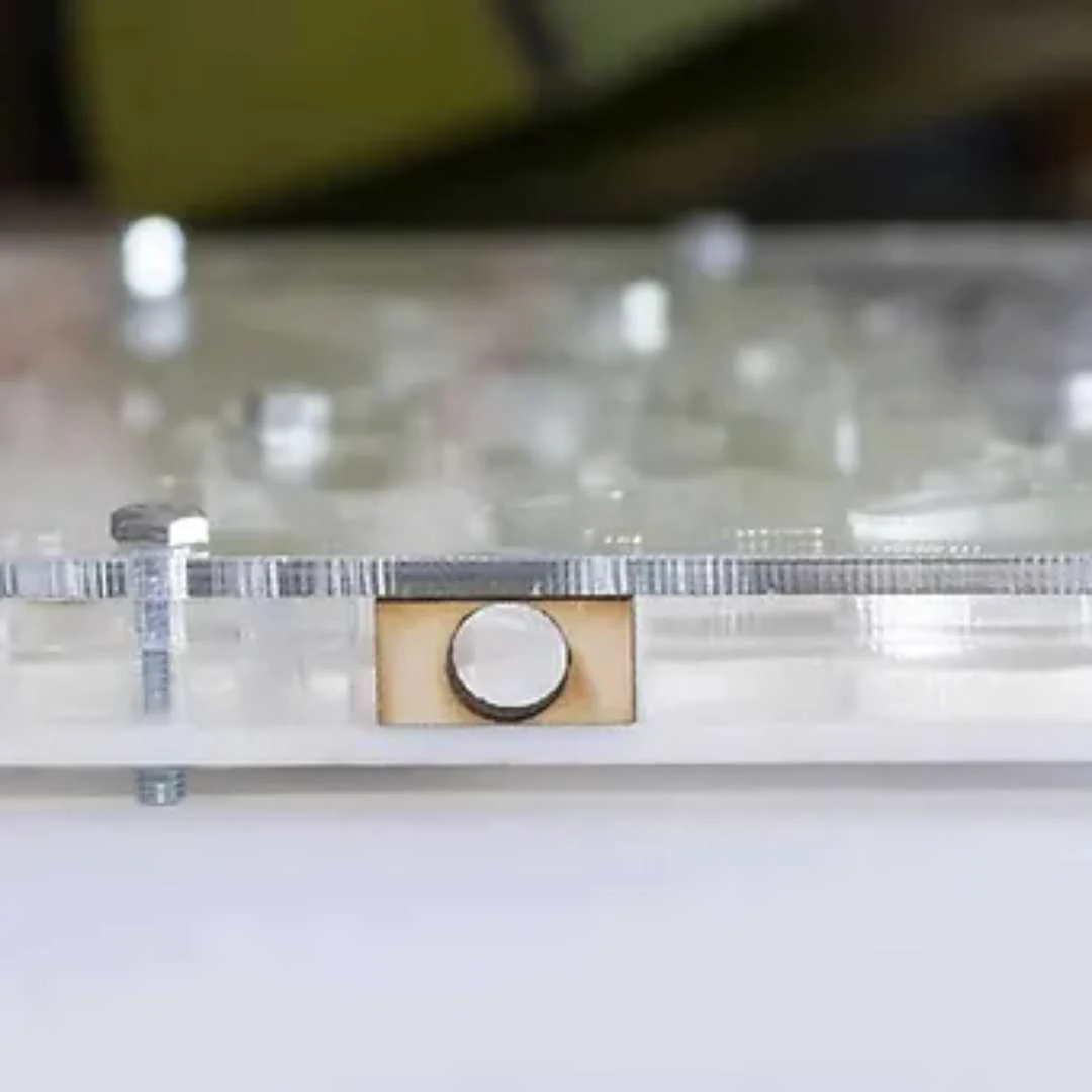 Fourmilière plexi - Taille M - Image 4