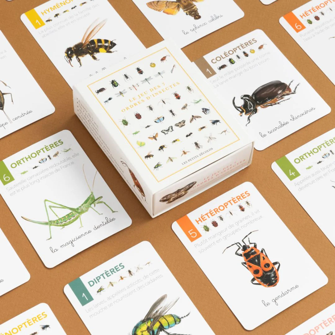 Jeu de Carte - 7 familles
