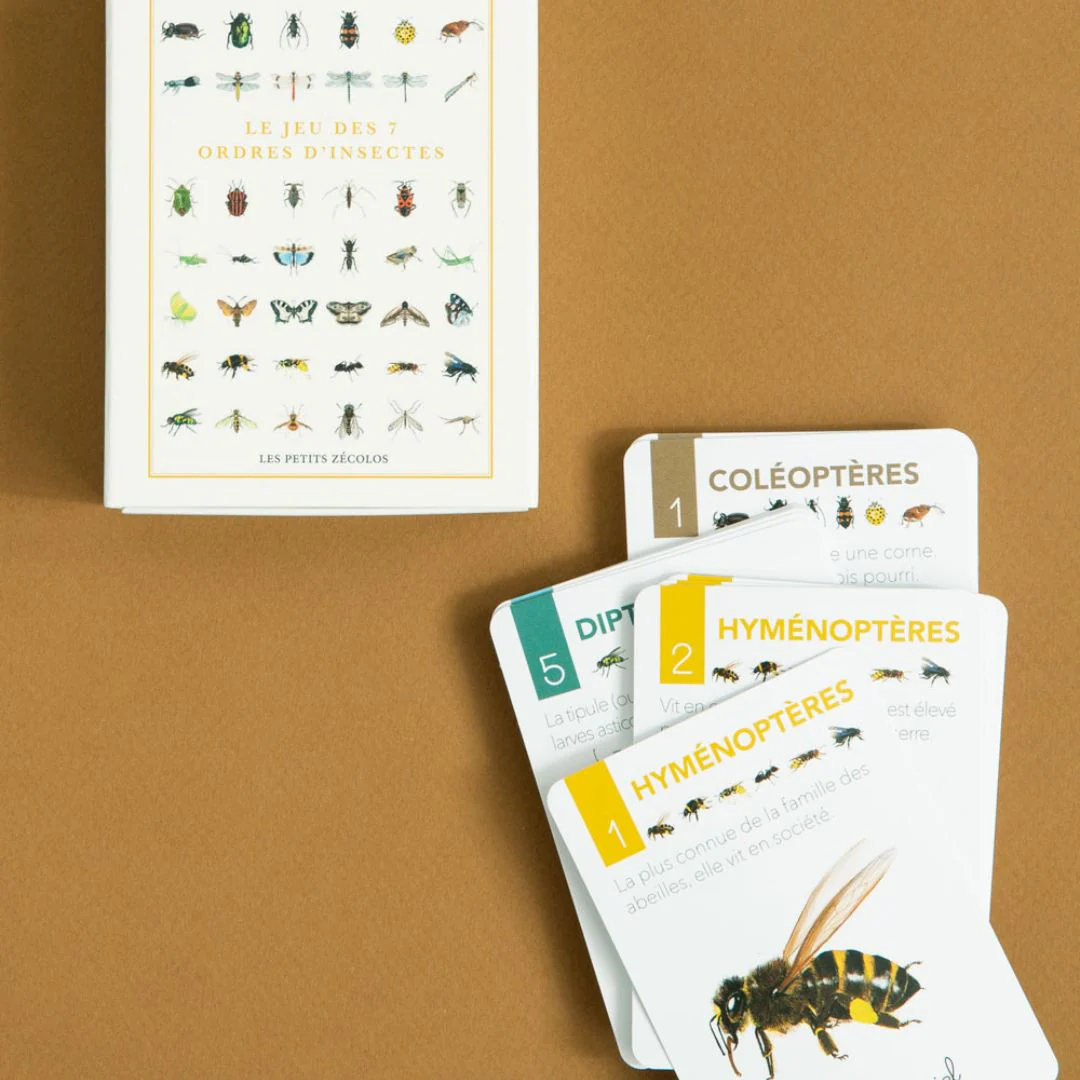 Jeu de Carte - 7 familles - Image 2