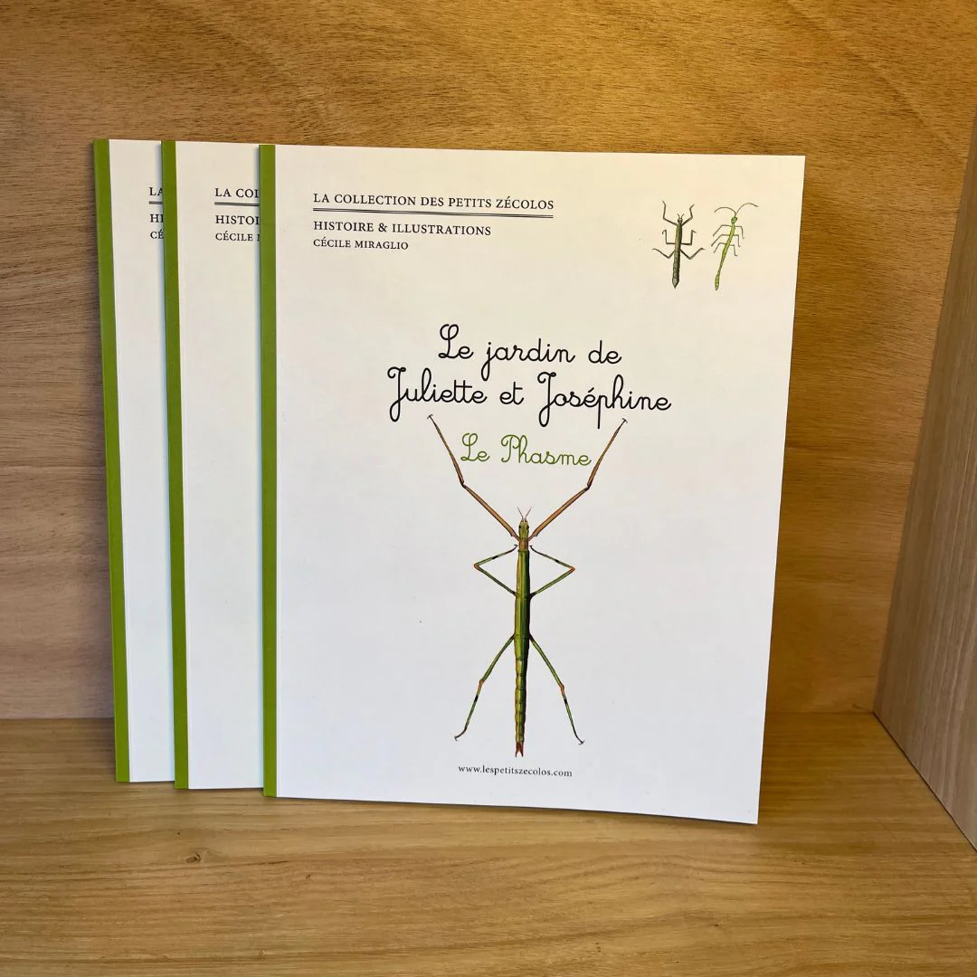 Livre -  Le Phasme
