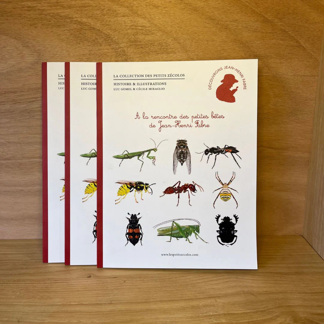 Livre - À la rencontre des petites bêtes
