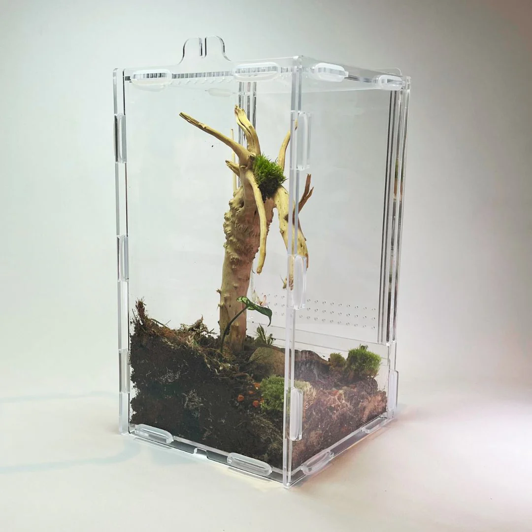Terrarium - Petit Format