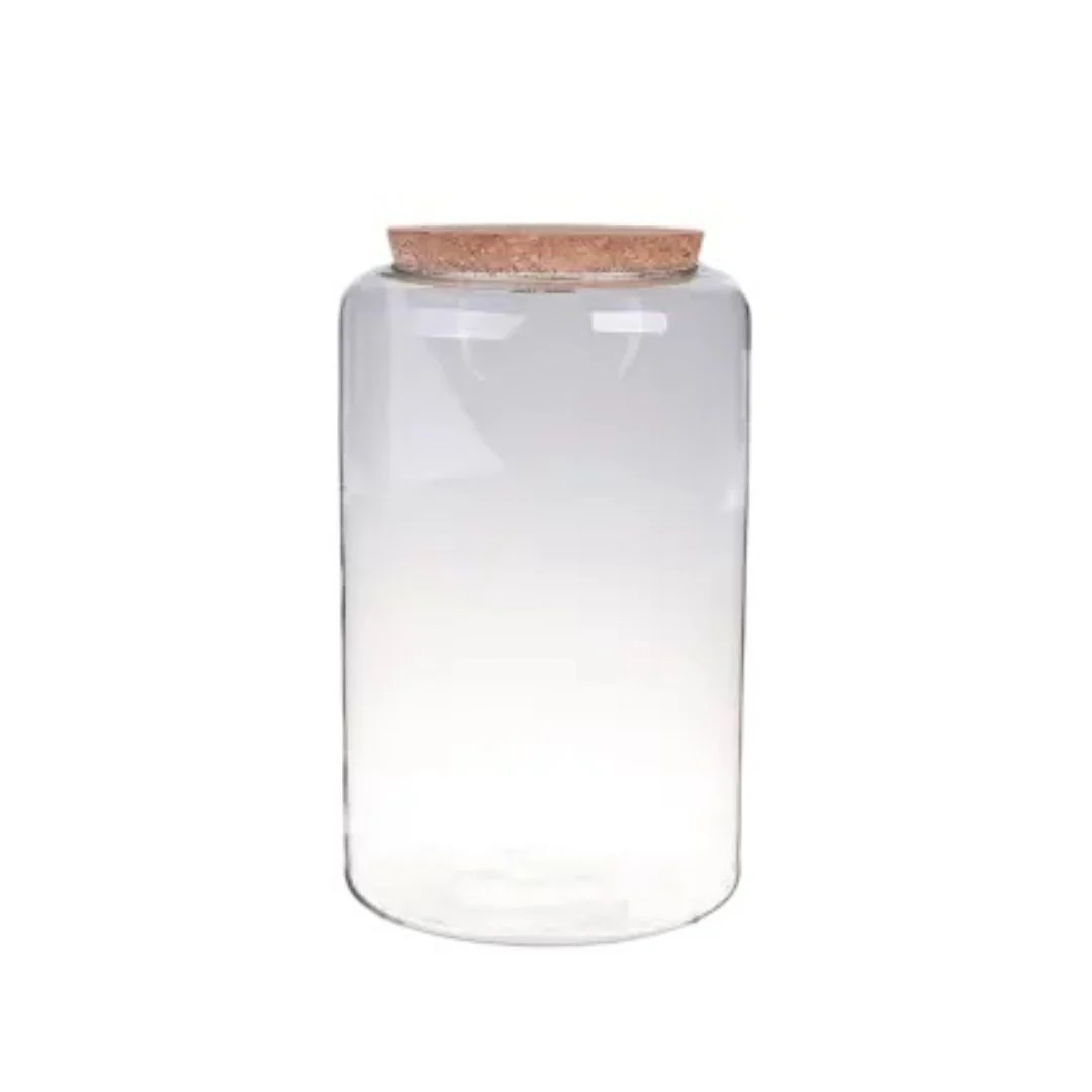 Terrarium Bioactif - Image 3